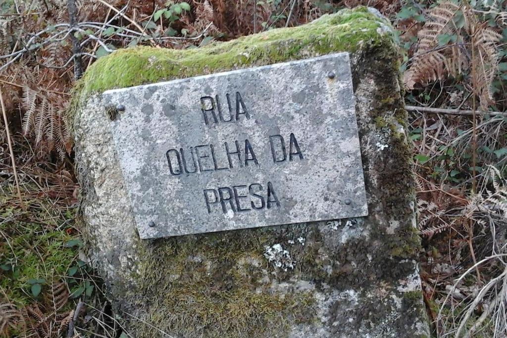 Вілла Casa Quelha Da Presa Espinho  Екстер'єр фото